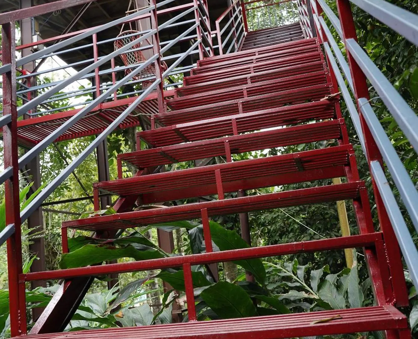 Holiday home The Wayside Cottage Munnar India