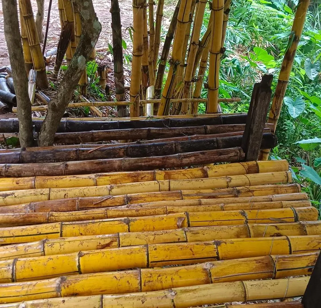The Wayside Cottage Munnar