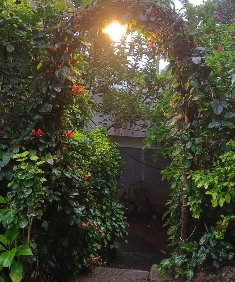 The Wayside Cottage Munnar
