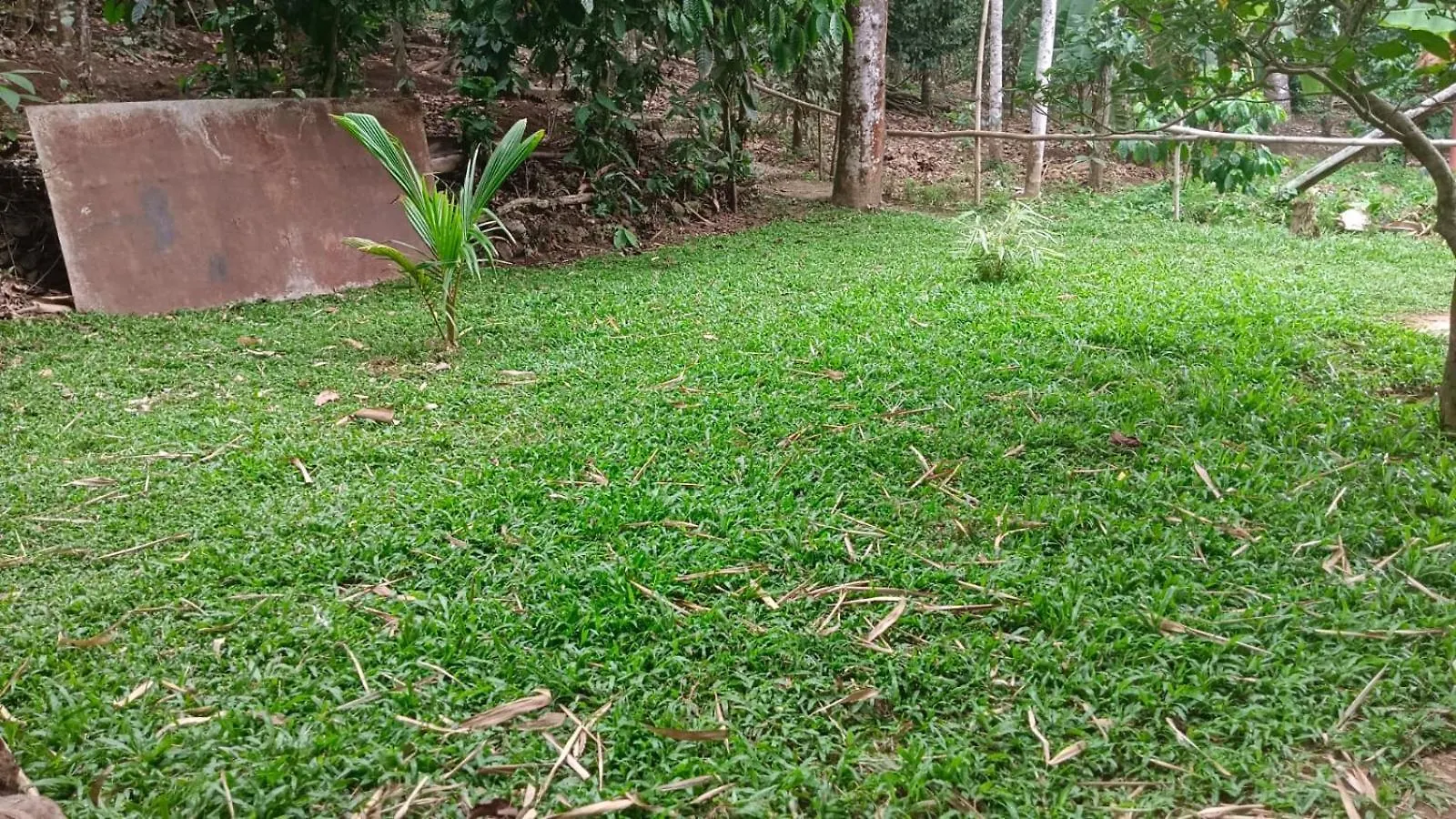 The Wayside Cottage Munnar